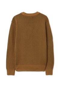 Bruine gebreide trui met lange mouwen en ribbelstructuur, ronde hals en boorden, van achteren weergegeven op een witte achtergrond.