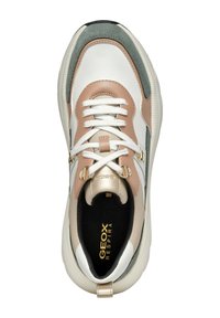 Zapatilla blanca y beige con detalles en ante gris, puntera redondeada, diseño con cordones, herrajes dorados y un interior negro con el logo "GEOX RESPIRA".