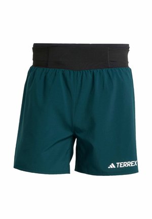 Adidas Terrex Sports shorts - aurora ivy