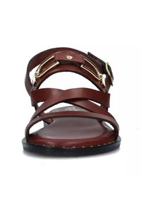 Sandal in pelle marrone con cinturini incrociati, dettagli in metallo dorato, punta scoperta e suola nera piatta. Texture liscia con un design minimalista.