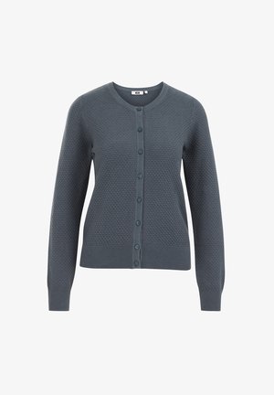 WE Fashion Cardigan - green blue