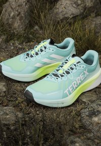 Pár svetlomodrých a neónovo zelených bežeckých topánok Adidas Terrex položených na kamenistej zemi s trávou a kameňmi okolo.