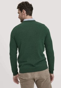 Grüner gestrickter Pullover mit Rundhalsausschnitt, gerippten Bündchen und Saum. Über einem hellblauen Hemd mit Kragen getragen, das am Halsausschnitt sichtbar ist.