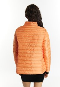 Jachetă portocalie căptușită cu guler înalt, având un design matlasat, textură netedă și un stil minimalist. Vederea din spate nu prezintă închideri vizibile.