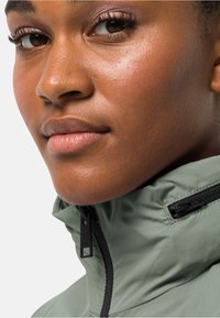 Jack Wolfskin NORDEN PORT - Parka - mint leaf