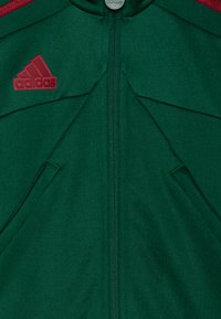 adidas Performance TIRO NATIONS PACK UNISEX - Chaqueta de entrenamiento - dark green/cloud white/collegiate burgundy