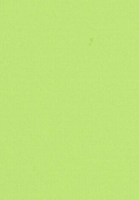 Solid light green textured background with subtle fabric weave pattern.