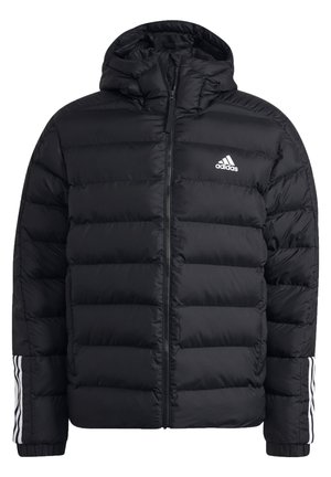 ITAVIC HOODED JACKET - Chaqueta de invierno - black