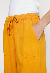 BDG Urban Outfitters BDG LUCA - Παντελόνι cargo - orange