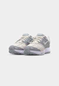 Nike Sportswear AIR PEGASUS 2005 - Baskets basses - wolf grey/platinum tint/vast grey/metallic platinum/white