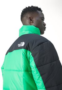 The North Face INSULATED JACKET - Vinterjakker - optic emerald