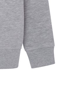 Pepe Jeans NEW LAMONTY - Collegepaita - marl grey