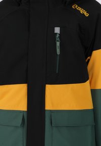 ZIGZAG TAYLOR - Talvitakki - trekking green