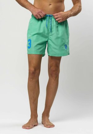 ALEXANDER - Badeshorts - katydid