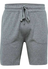 JBS OF DENMARK Shorts - lightgrey
