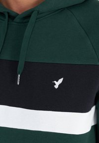 Hoodie w ciemnozielone, granatowe i białe paski. Posiada małe haftowane białe logo ptaka na piersi. Wykonany z miękkiego bawełnianego materiału, z kapturem na sznurki.
