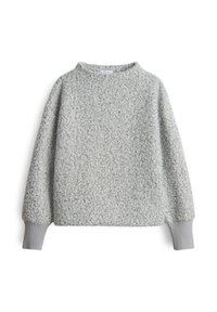 Flauschiger hellgrauer Pullover mit rundem Ausschnitt und gerippten grauen Bündchen. Weiche Textur mit lockerer Passform und minimalistischem Design.