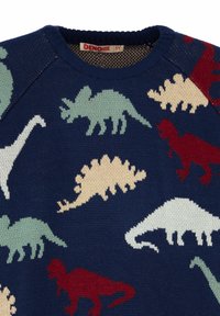 Dunkelblaues Kinderpullover mit bunten Dinosauriermustern, darunter Triceratops, Stegosaurus und T-Rex, Größe 5 Jahre.