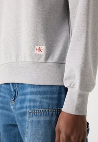 Felpa grigia chiara con polsini e orlo a costine, caratterizzata da una piccola etichetta rossa e bianca del logo Calvin Klein sul lato sinistro in basso. Materiale in cotone morbido.