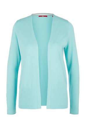 Vest - mint