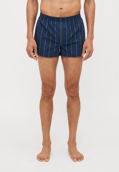 Shorts de bain de couleur marine avec des rayures verticales vertes, une taille élastique et un tissu léger, offrant une coupe décontractée et une longueur au milieu des cuisses.