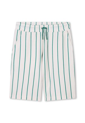 Pantaloni corti da uomo a righe con vita elastica, righe turchesi su sfondo bianco, dotati di tasche laterali e chiusura con cordino.