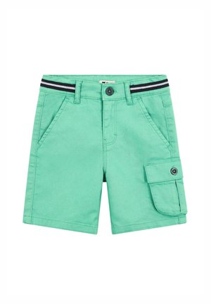 TEAM - Shorts - winter green