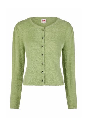 Lichtgroen, zacht wollen vest met lange mouwen en zes decoratieve knopen aan de voorkant, ronde halslijn en een aansluitende taille.