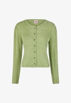 Lichtgroen, zacht wollen vest met lange mouwen en zes decoratieve knopen aan de voorkant, ronde halslijn en een aansluitende taille.