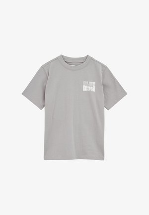 T-shirt in cotone grigio con maniche corte, scollo rotondo e una grafica bianca "BLUE RIDGE" stampata sulla parte sinistra del petto. Texture liscia, design casual.