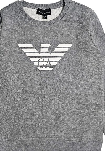 Felpa grigia realizzata in tessuto morbido, caratterizzata da un logo di aquila a strisce bianche sul davanti. Collo rotondo con ribattitura e orlo a costine.