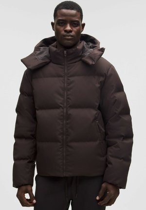 ALWAYS DOWN TECH CANVAS - Pūkinė striukė - sequoia