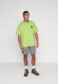 Peak Performance GRAPHIC TEE - T-shirt estampada - stand out green