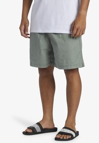 Quiksilver Shorts - glw