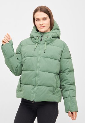 RICHHOLM - Winterjacke - hedge green
