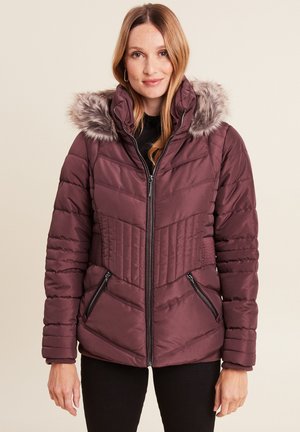 GERADE GESCHNITTENE MIT KAPUZE - Winter jacket - bordeaux