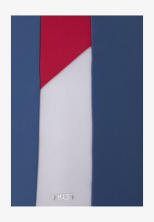 Maillots de bain avec des panneaux bleus, rouges et blancs ; texture lisse ; accent rouge diagonal sur la section supérieure ; étiquette de marque visible en bas.