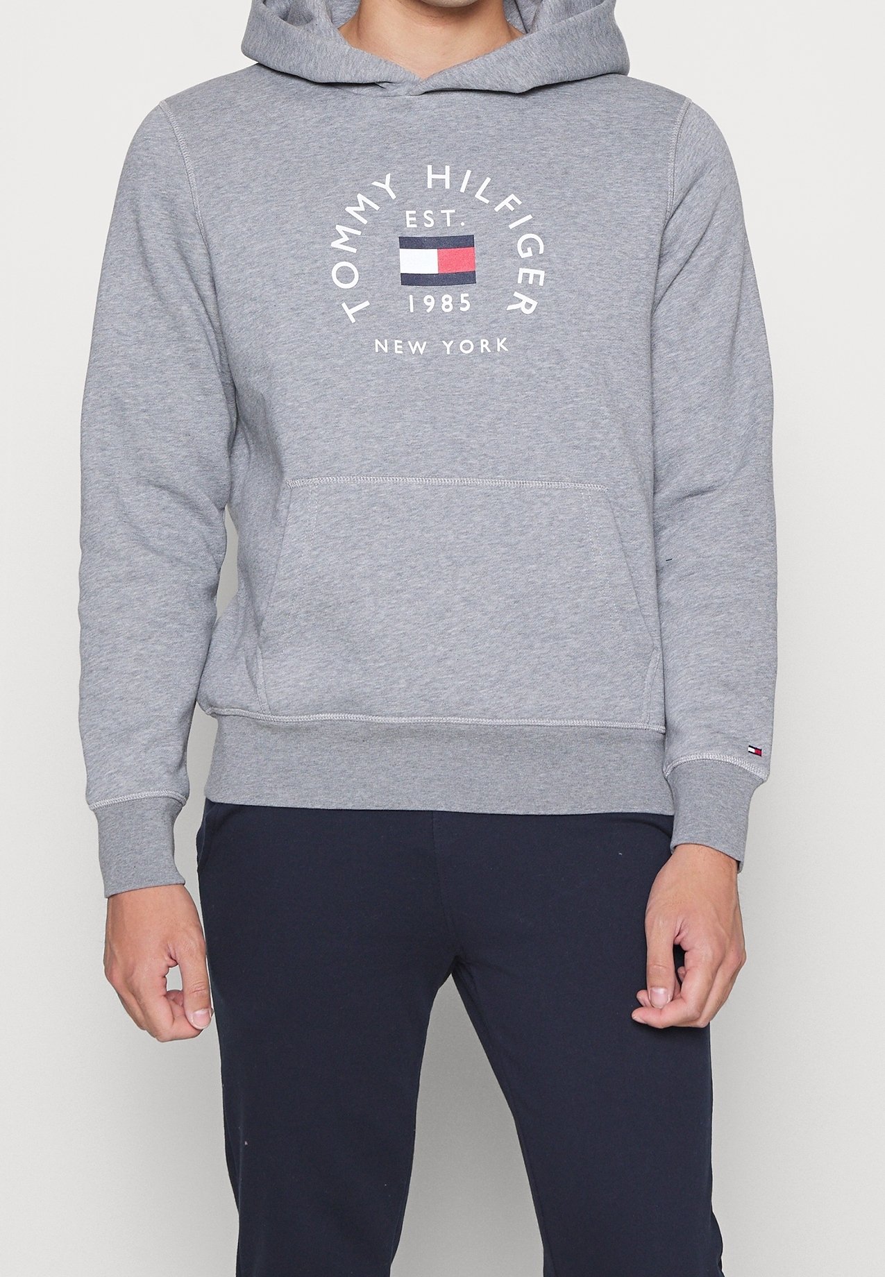 Tommy Hilfiger Hoodie grey (Pre-owned)