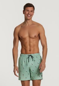 Shiwi - PUFFIN - Badeshorts - faded mint green Thumbnail-Bild 1