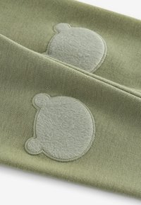 Next COSY LINED - REGULAR FIT - Leggings - green