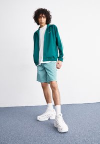 Tummansininen vetoketjullinen takki valkoisilla yksityiskohdilla, valkoinen t-paita, raidalliset vaaleansiniset shortsit ja muhkeat valkoiset lenkkarit. Silkkinen kangas ja rento malli.