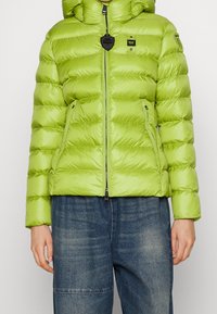 Grøn pufferjakke med front lynlås og lommer, iført med blå slidte denim jeans, viser torso og arme mod en neutral baggrund.