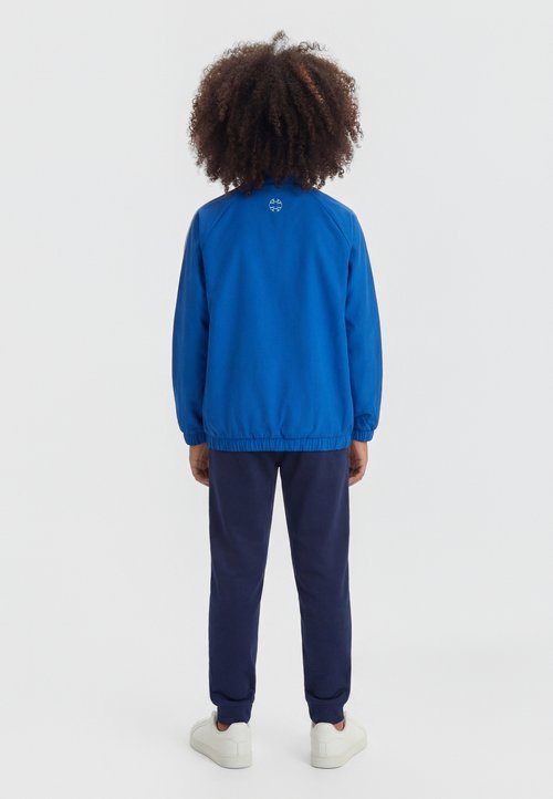 adidas TEAMGEIST LOOSE JUNIOR - Training jacket - collegiate royal/lucid lemon/grey two — photo 2