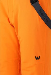 Whistler GIPPSLANG - Skihose - turmeric