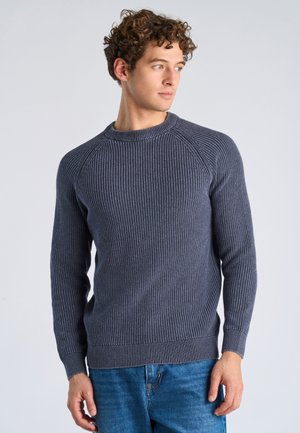 Ung mand med krøllet hår iført en mørkegrå ribbet sweater og blå jeans, der kigger mod venstre mod en ensartet lys baggrund.