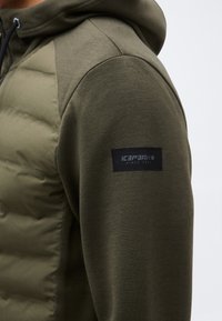 Rankovė ir petys alyvuogių žalios spalvos pamušinėtos striukės su kapišonu, ant viršutinės rankos esančiu juodu pleistro logotipu su užrašu „Icepeak Since 1956“.