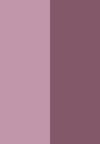 seashell pink / fawn satin