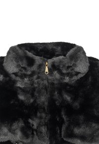 Giacca nera in pelliccia sintetica con una texture morbida, caratterizzata da un colletto alto e una zip dorata sul davanti. Nessun motivo o accentuazione visibili.