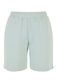 Licht mintgroene shorts van zachte stof, met een elastische tailleband en een relaxed fit. Eenvoudig ontwerp zonder patronen of versieringen.