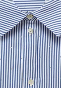 Blue and white striped shirt with a button-up design. Features a classic collar and small decorative accents between the stripes.